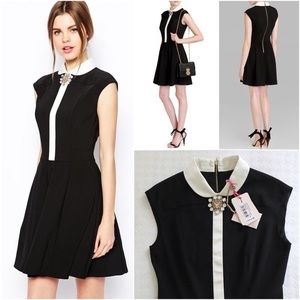 NWT ted baker flosha brooch collar dress